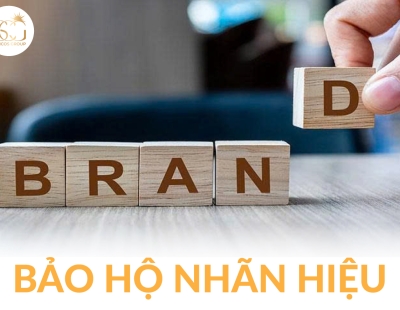 Bảo hộ nhãn hiệu: Quy trình, điều kiện và những điều doanh nghiệp cần biết