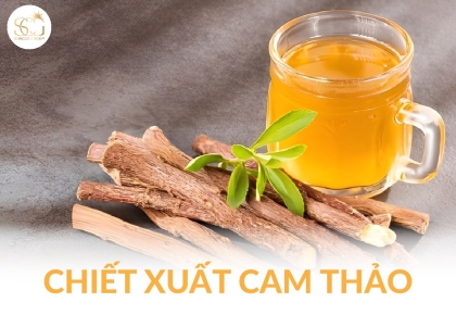 Chiết xuất cam thảo – Thành phần làm sáng da tự nhiên được ưa chuộng nhất trong mỹ phẩm