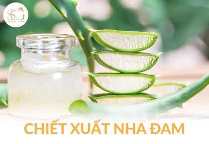 Chiết xuất nha đam “Thần dược” làm đẹp tự nhiên cho làn da