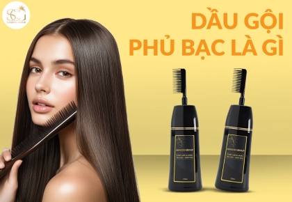 Dầu gội phủ bạc là gì? Giải pháp cho tóc bạc sớm và tóc bạc tự nhiên