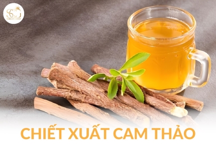 Chiết xuất cam thảo – Thành phần làm sáng da tự nhiên được ưa chuộng nhất trong mỹ phẩm