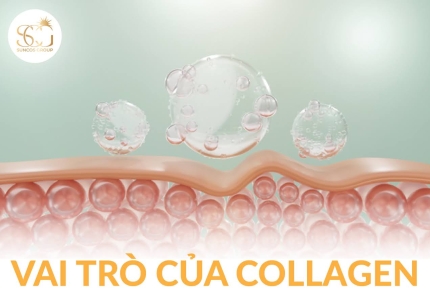 Collagen là gì? Tác dụng và vai trò quan trọng của collagen đối với làn da