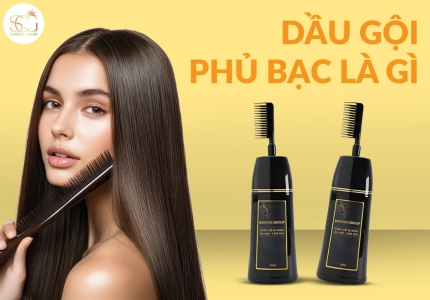 Dầu gội phủ bạc là gì? Giải pháp cho tóc bạc sớm và tóc bạc tự nhiên