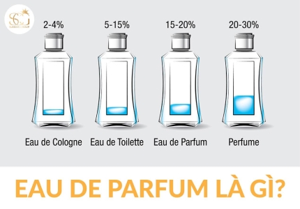 Eau De Parfum là gì? Giải mã sức hút của nước hoa EDP được ưa chuộng hiện nay