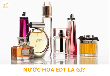 EDT Là Gì? Khám Phá Thế Giới Nước Hoa EDT - Hương Thơm Thanh Lịch Và Lâu Quên