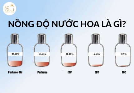 Nồng độ nước hoa là gì? Cách phân biệt các loại nồng độ nước hoa phổ biến hiện nay