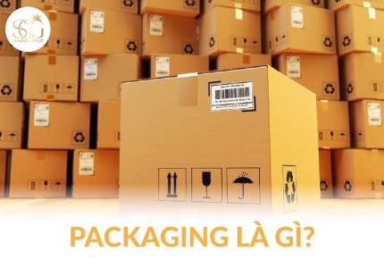Packaging là gì? Tìm hiểu vai trò, phân loại và tầm quan trọng trong ngành mỹ phẩm