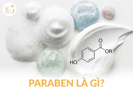 Paraben là gì? Tác hại, công dụng và sự thật về Paraben trong mỹ phẩm