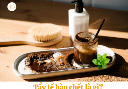 Tẩy tế bào chết là gì? Cách tẩy tế bào chết tại nhà an toàn và hiệu quả.