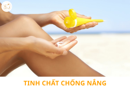 Tinh chất chống nắng: Bí quyết bảo vệ làn da chuyên sâu khỏe đẹp