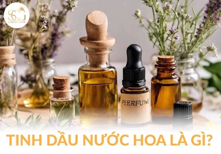 Tinh dầu nước hoa là gì? Khám phá bí mật tạo nên hương thơm quyến rũ và sang trọng