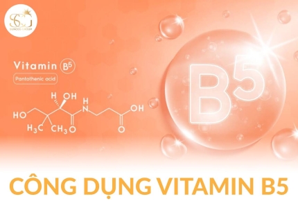 Vitamin B5: Công dụng, nguồn gốc và vai trò quan trọng trong mỹ phẩm