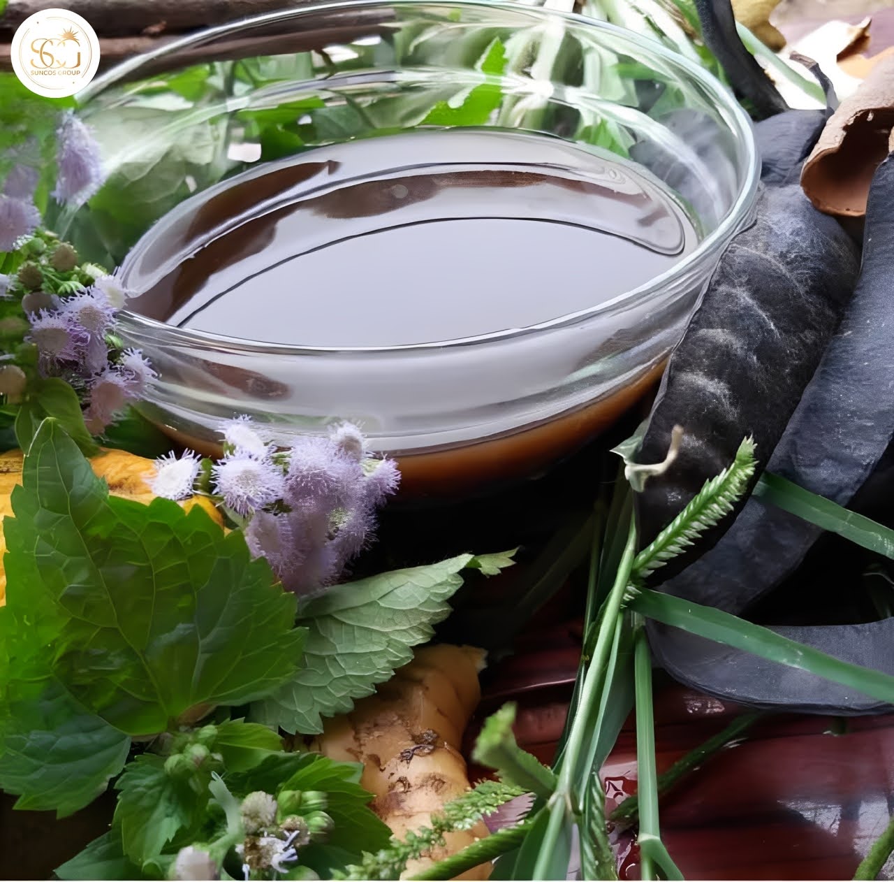 cách làm dầu gội bưởi tại nhà