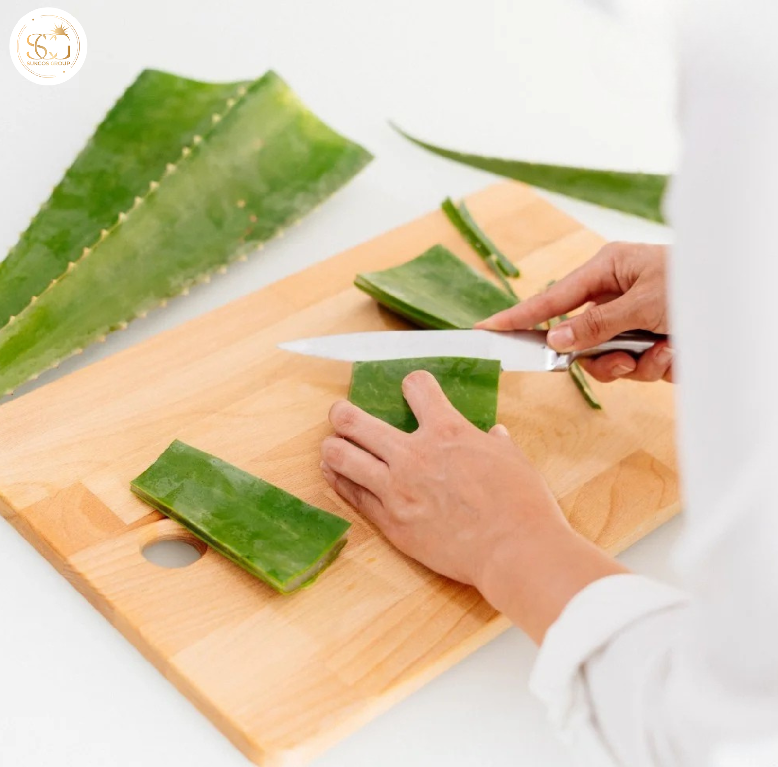 hướng dẫn cách làm dầu xả tóc từ nha đam