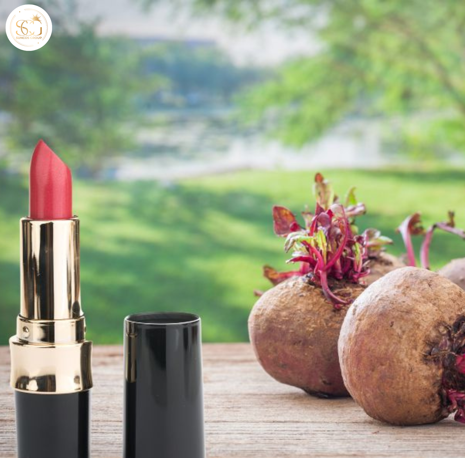 cách làm son môi bằng củ dền