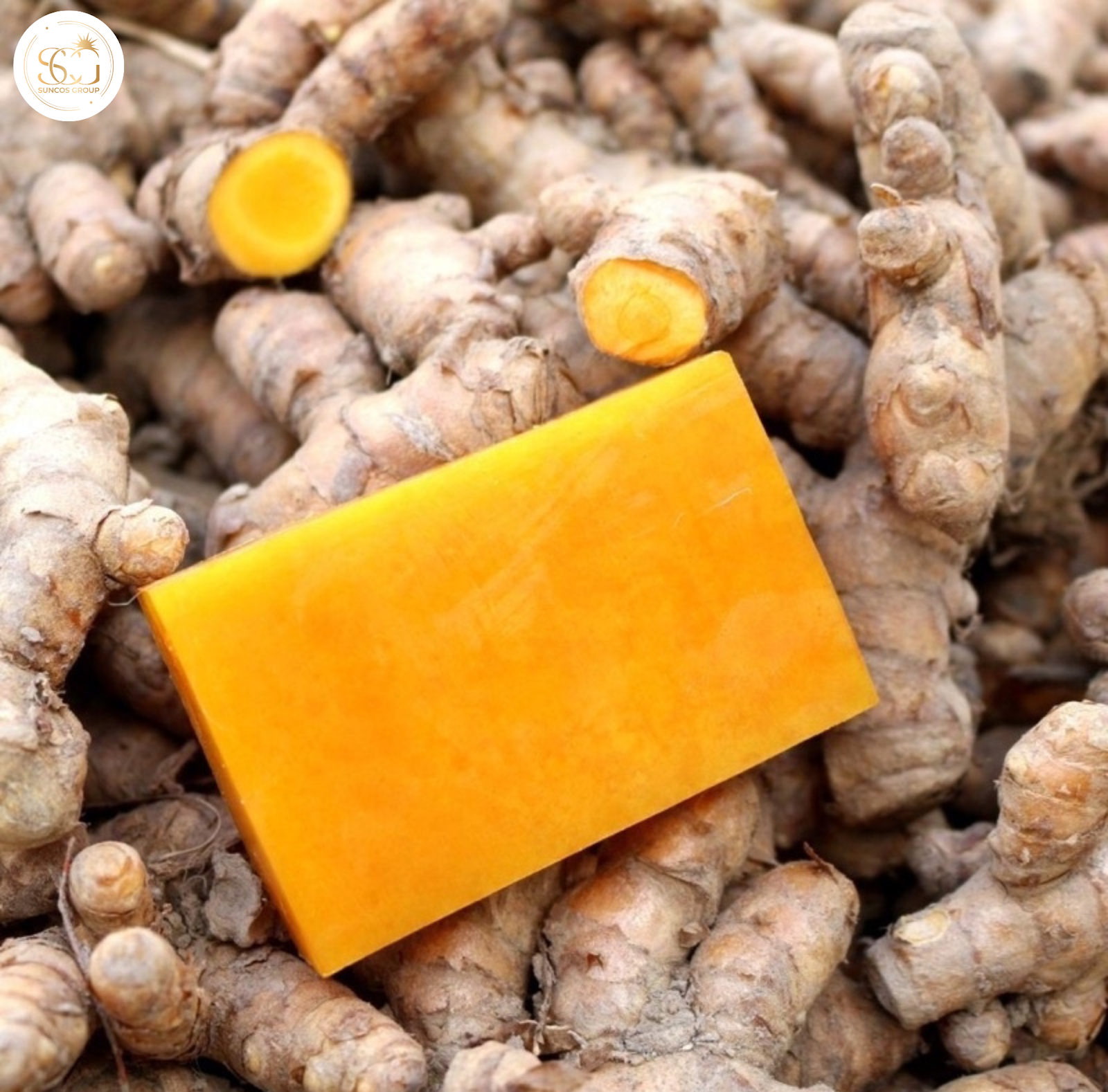 xà bông nghệ là gì