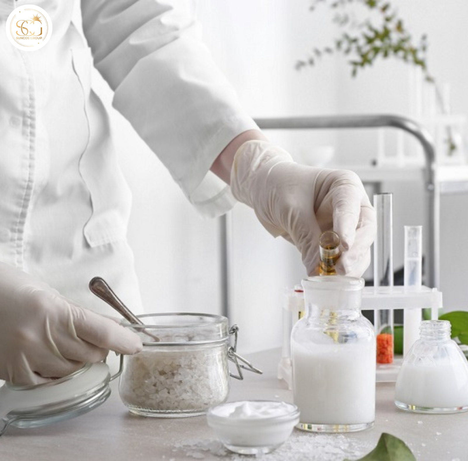 thành phần cốt lõi trong công thức mỹ phẩm