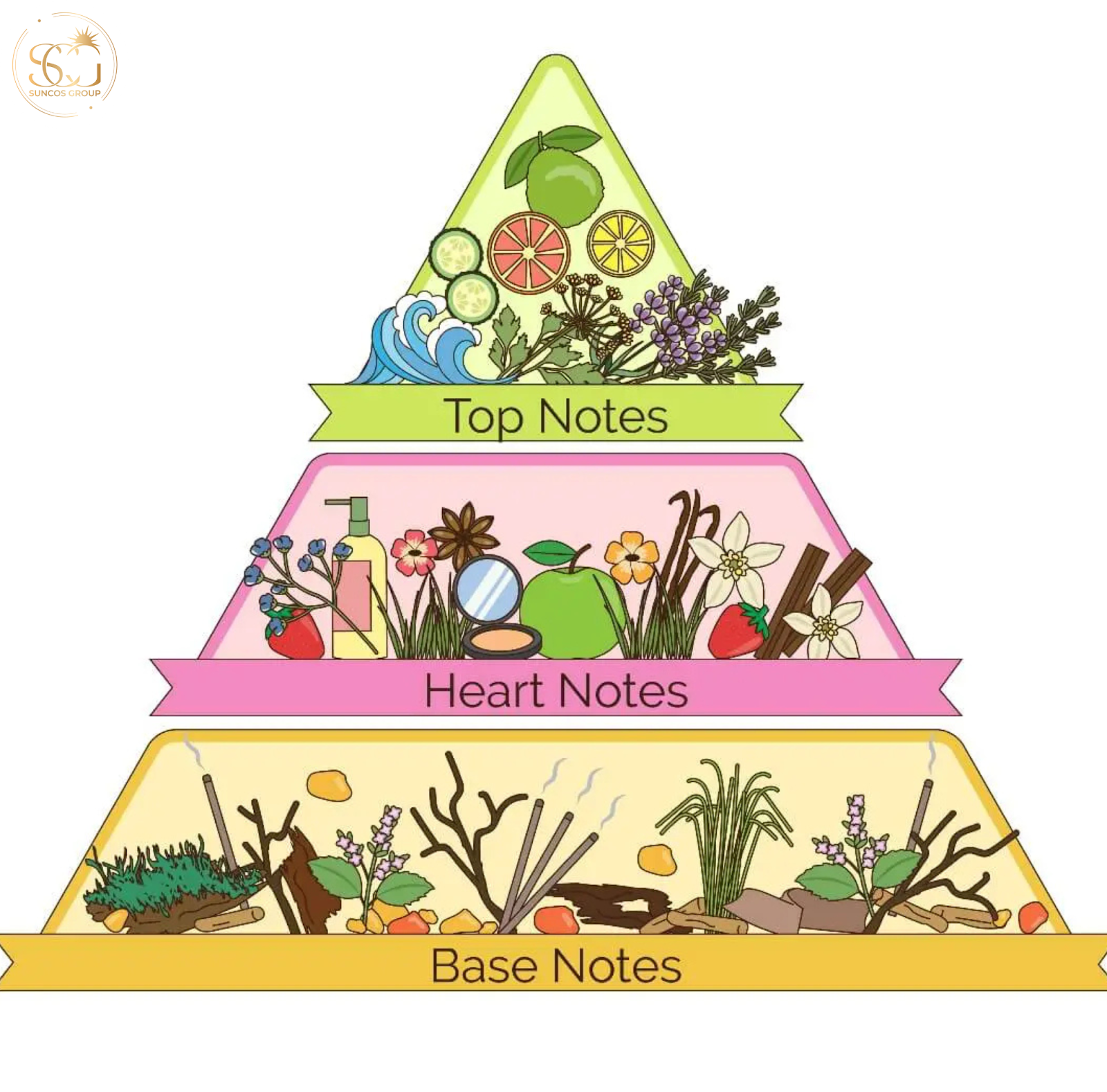 tầng hương của nước hoa