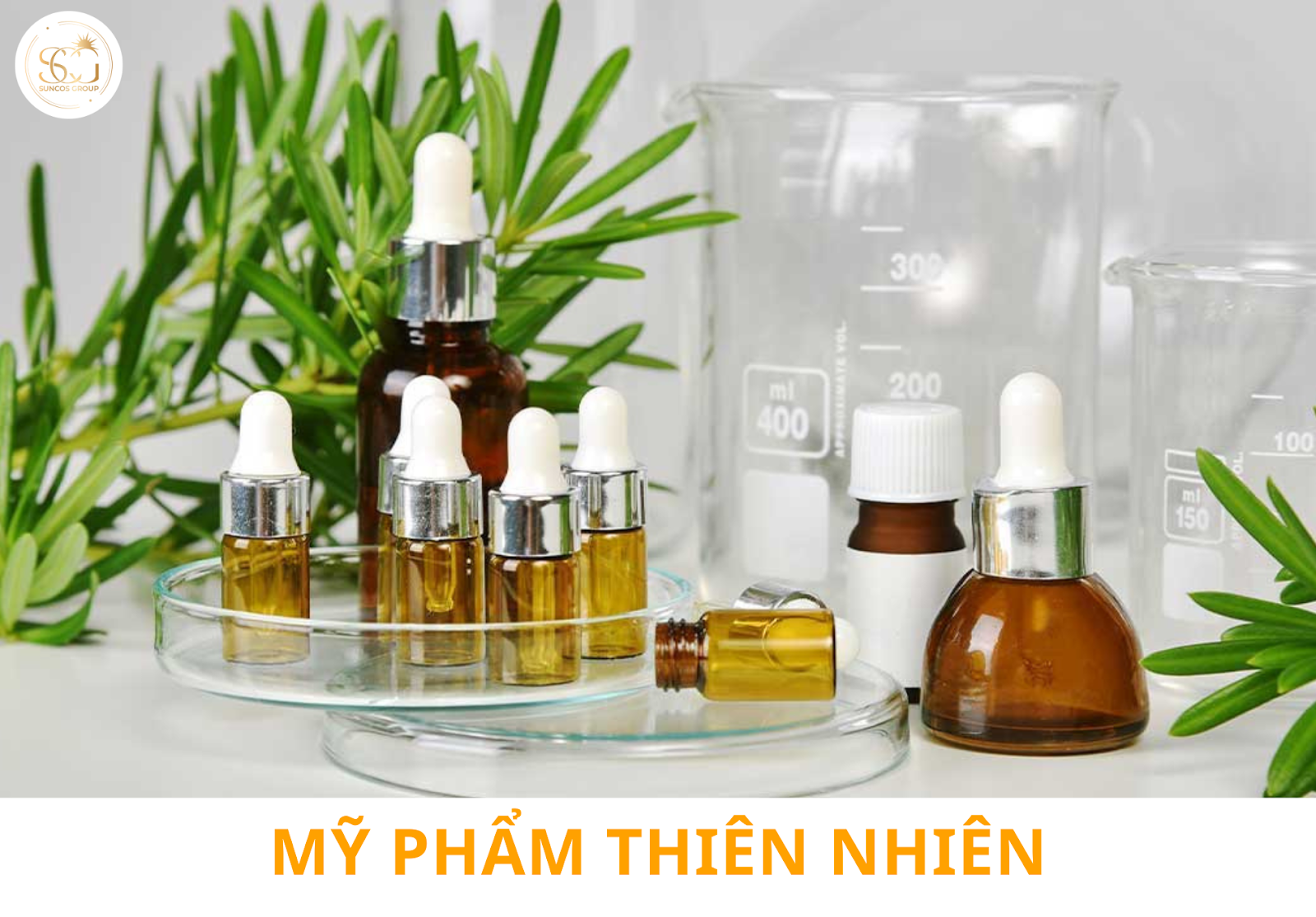 mỹ phẩm thiên nhiên