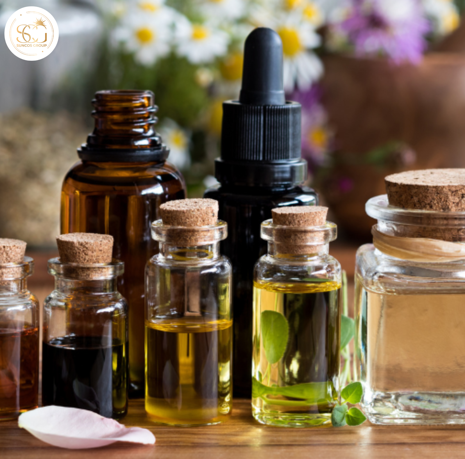 xu hướng mỹ phẩm thiên nhiên