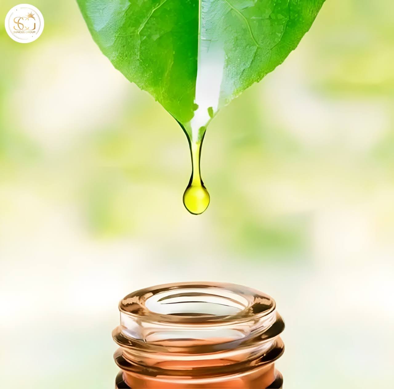 chất chống oxy hóa từ thiên nhiên