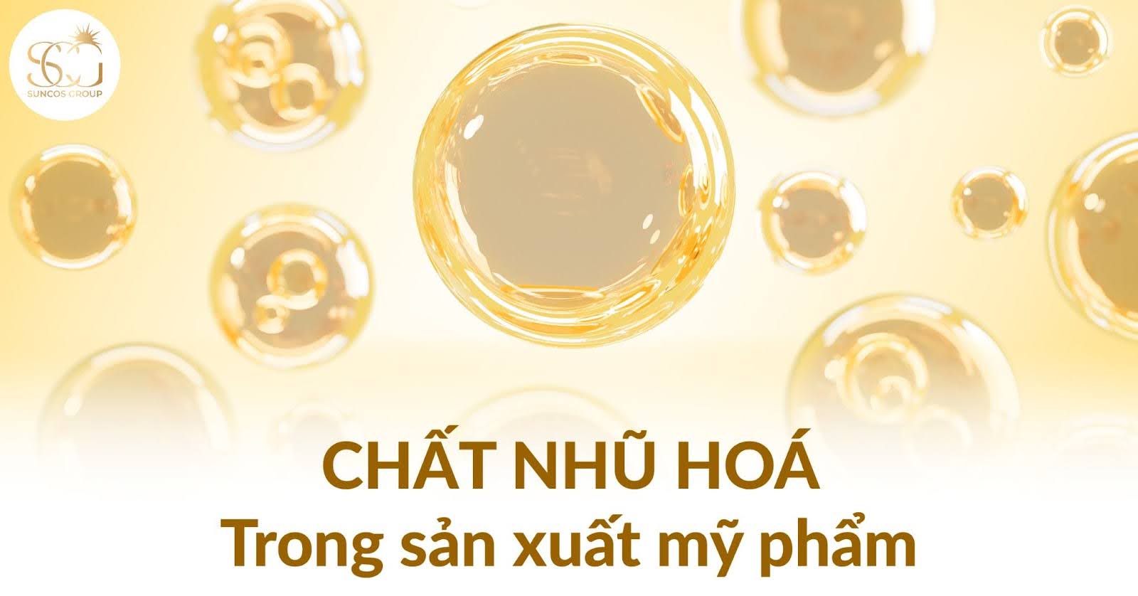 chat nhu hoa