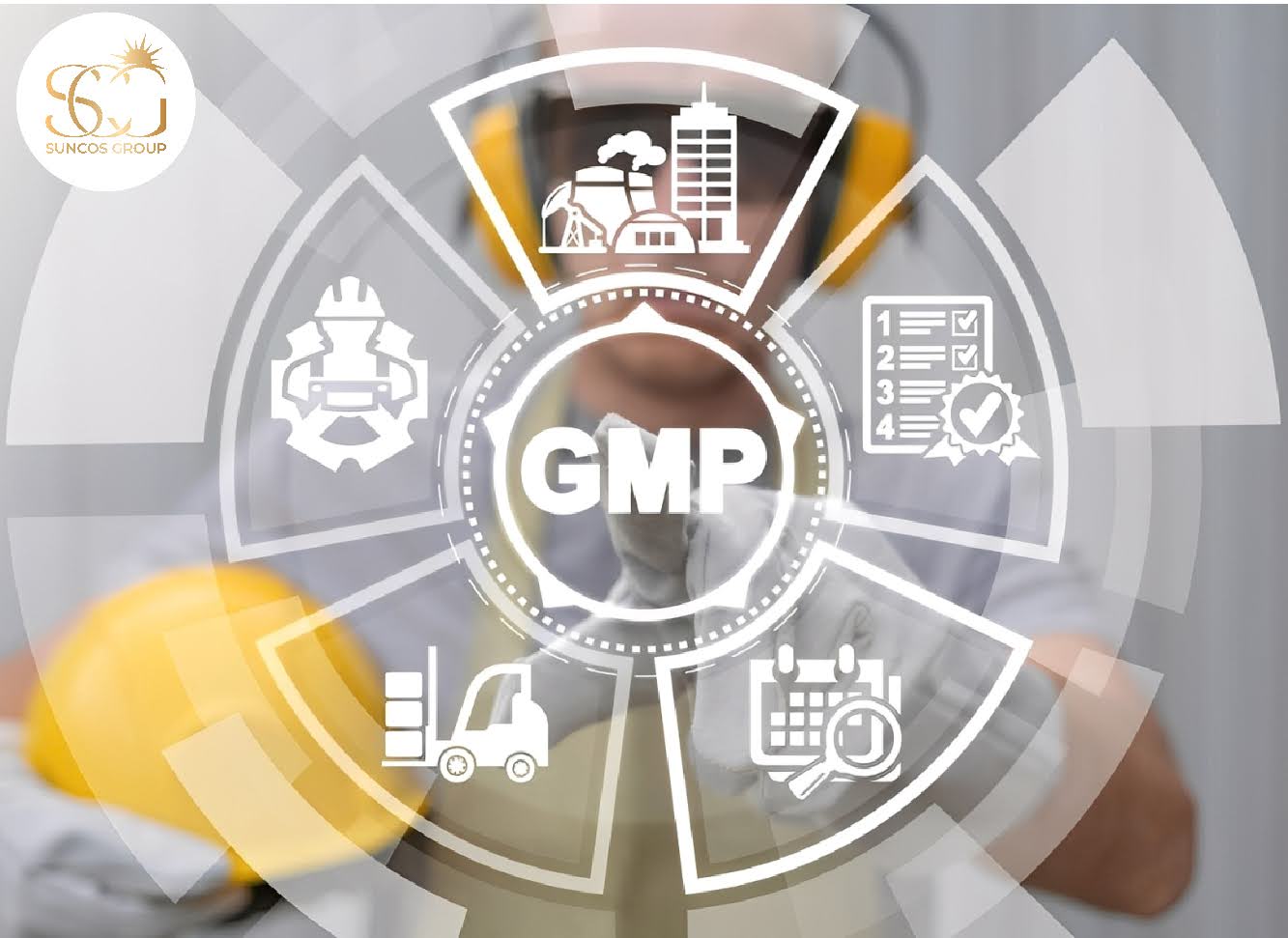 gmp là gì