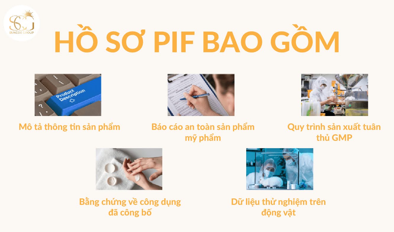 ho so pif la gi