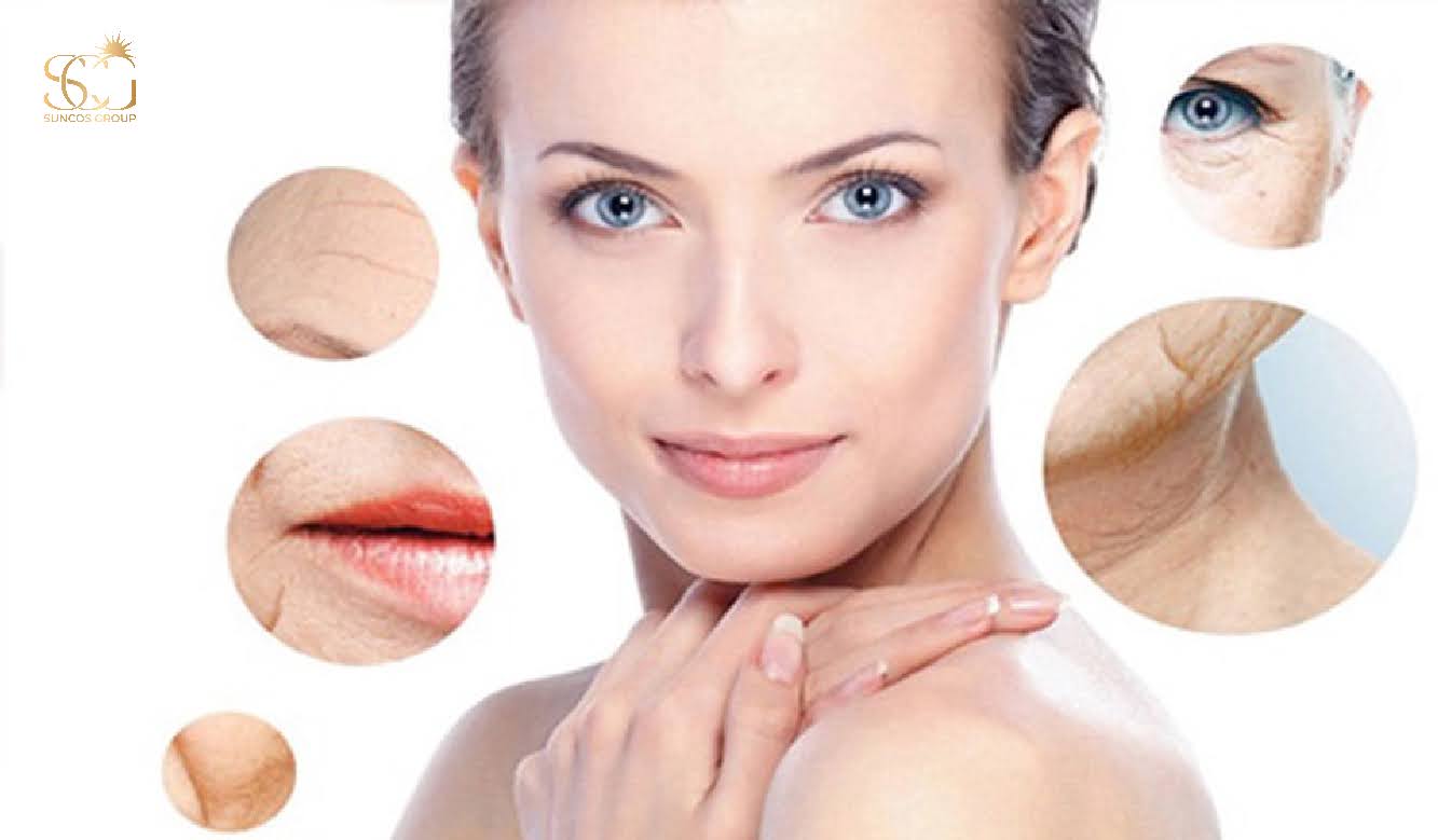 công dụng của mỹ phẩm