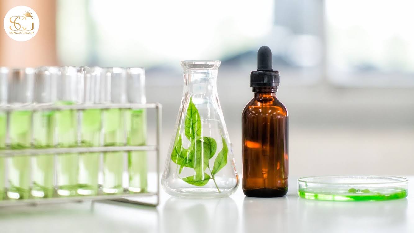 lợi ích của xu hướng clean beauty