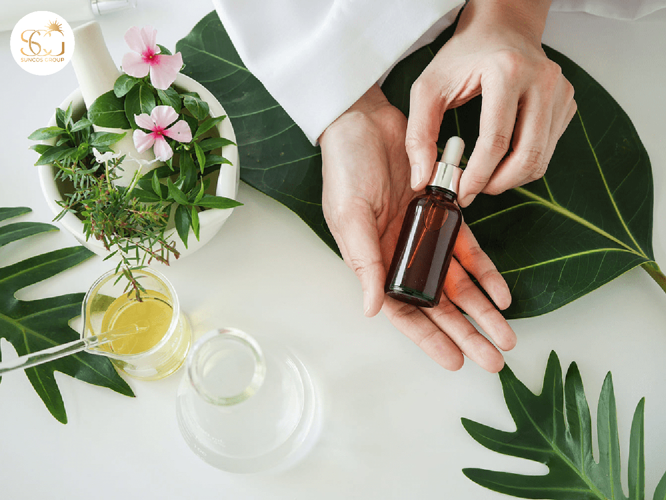 gia công mỹ phẩm thuần chay
