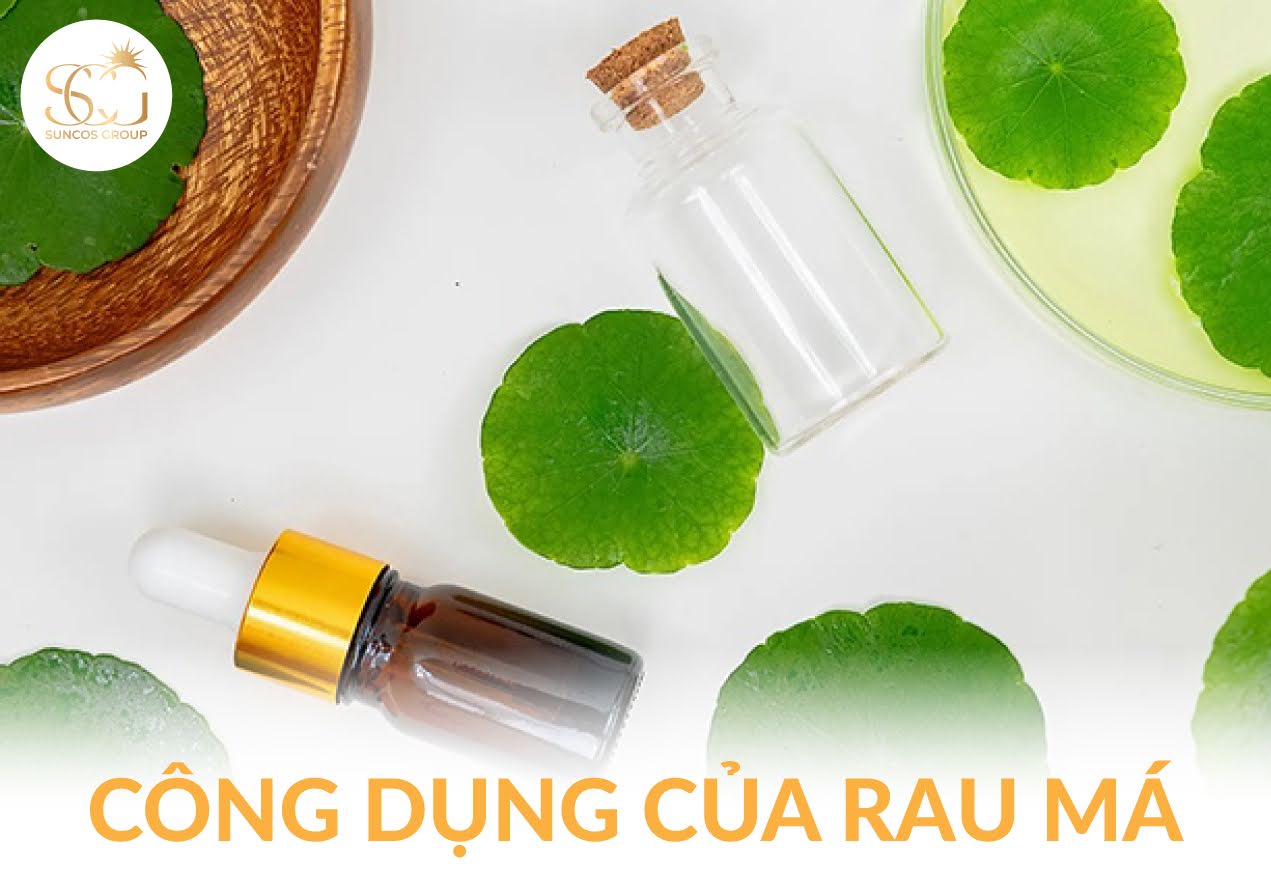rau má có tác dụng gì cho da mặt