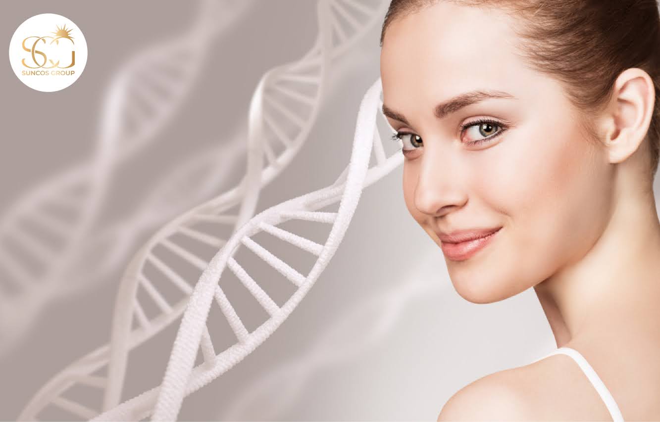 collagen có tác dụng gì