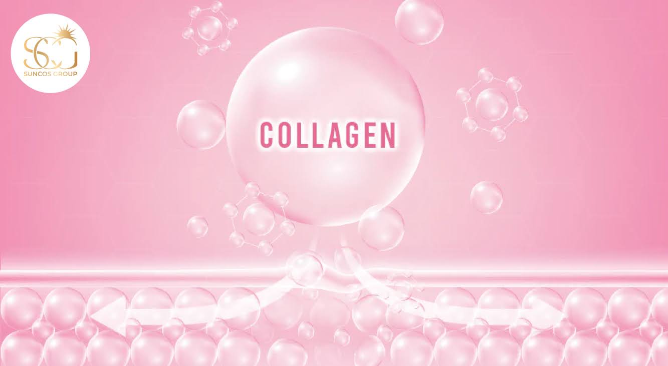 collagen trong mỹ phẩm