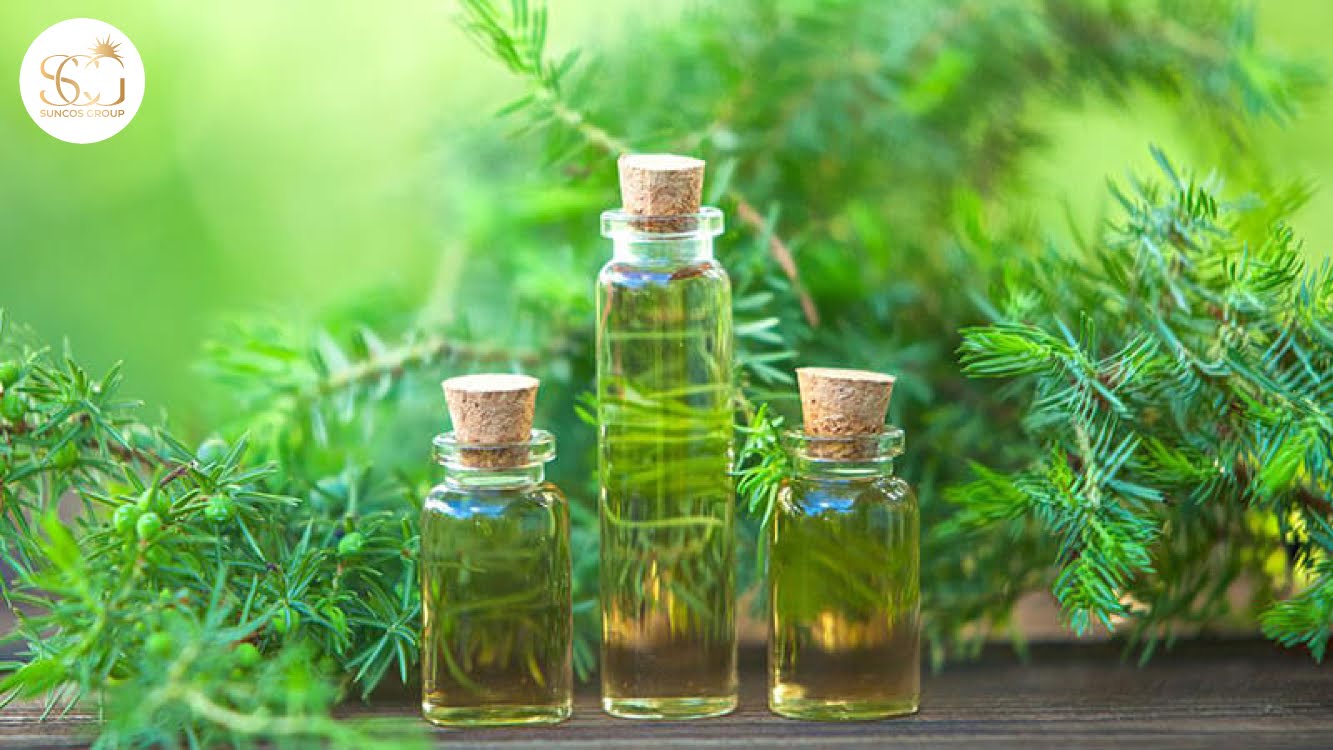 lưu ý khi sử dụng tinh dầu tràm trà