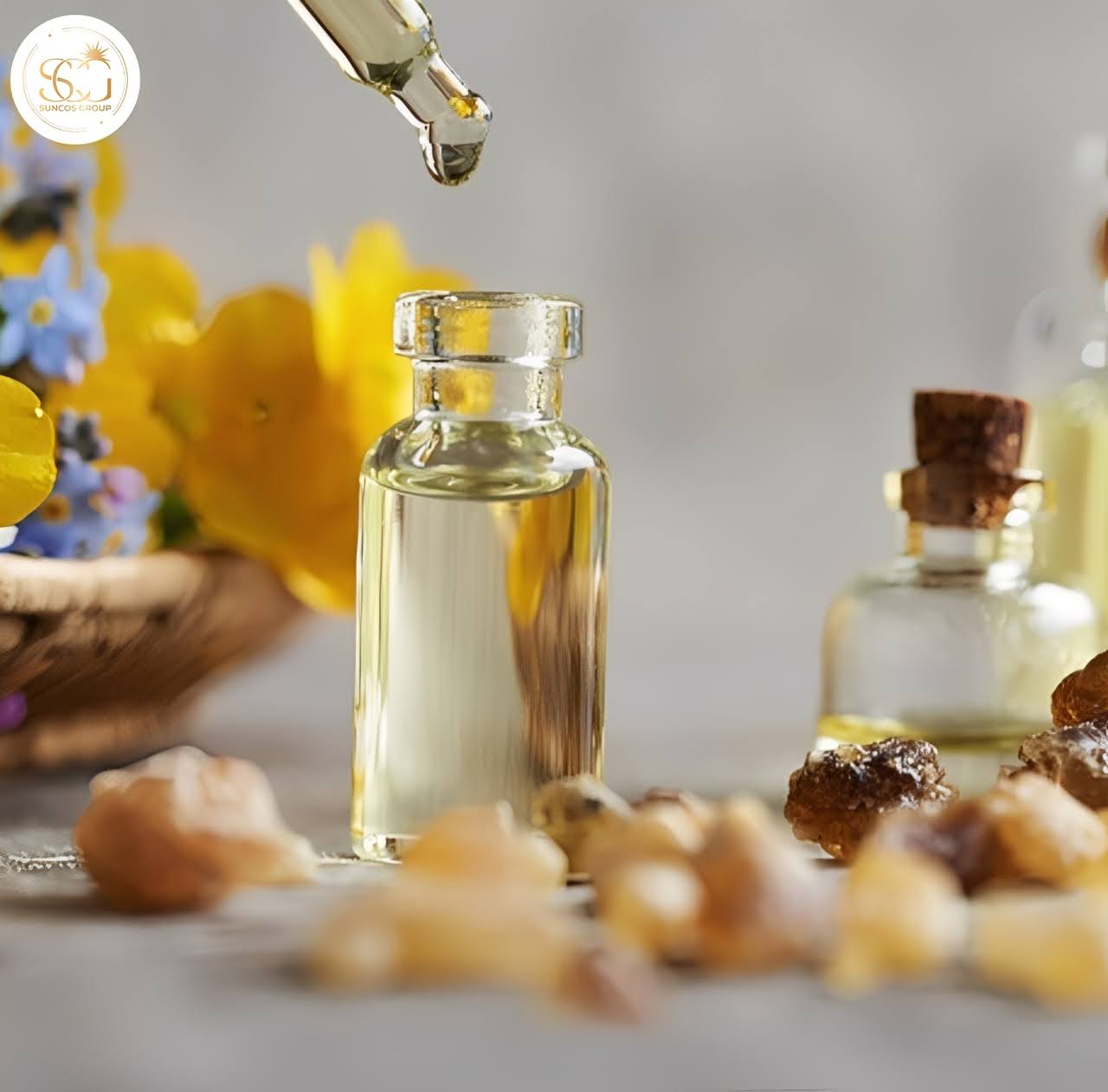 xạ hương có tác dụng gì