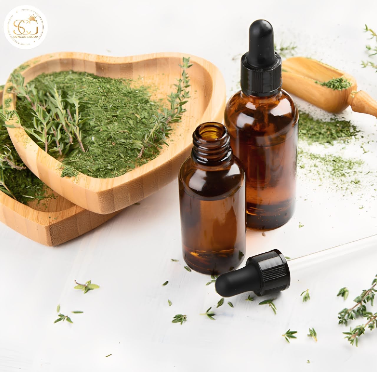 xạ hương là gì