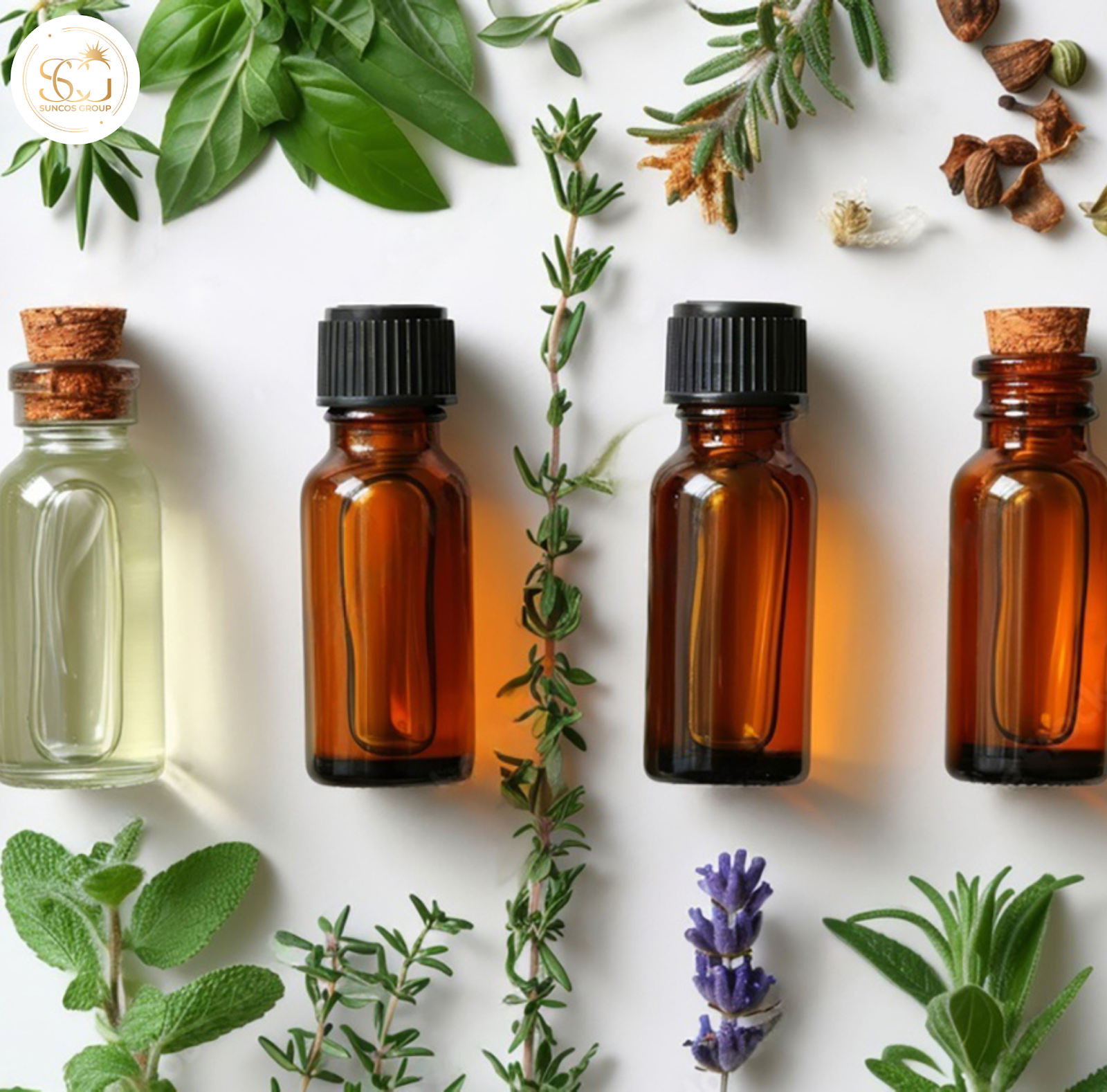 xạ hương trong nước hoa