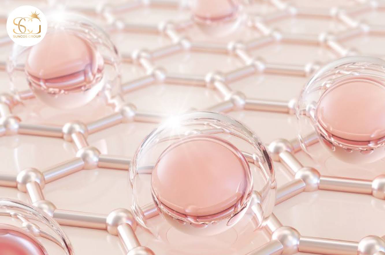 các thành phần trắng da