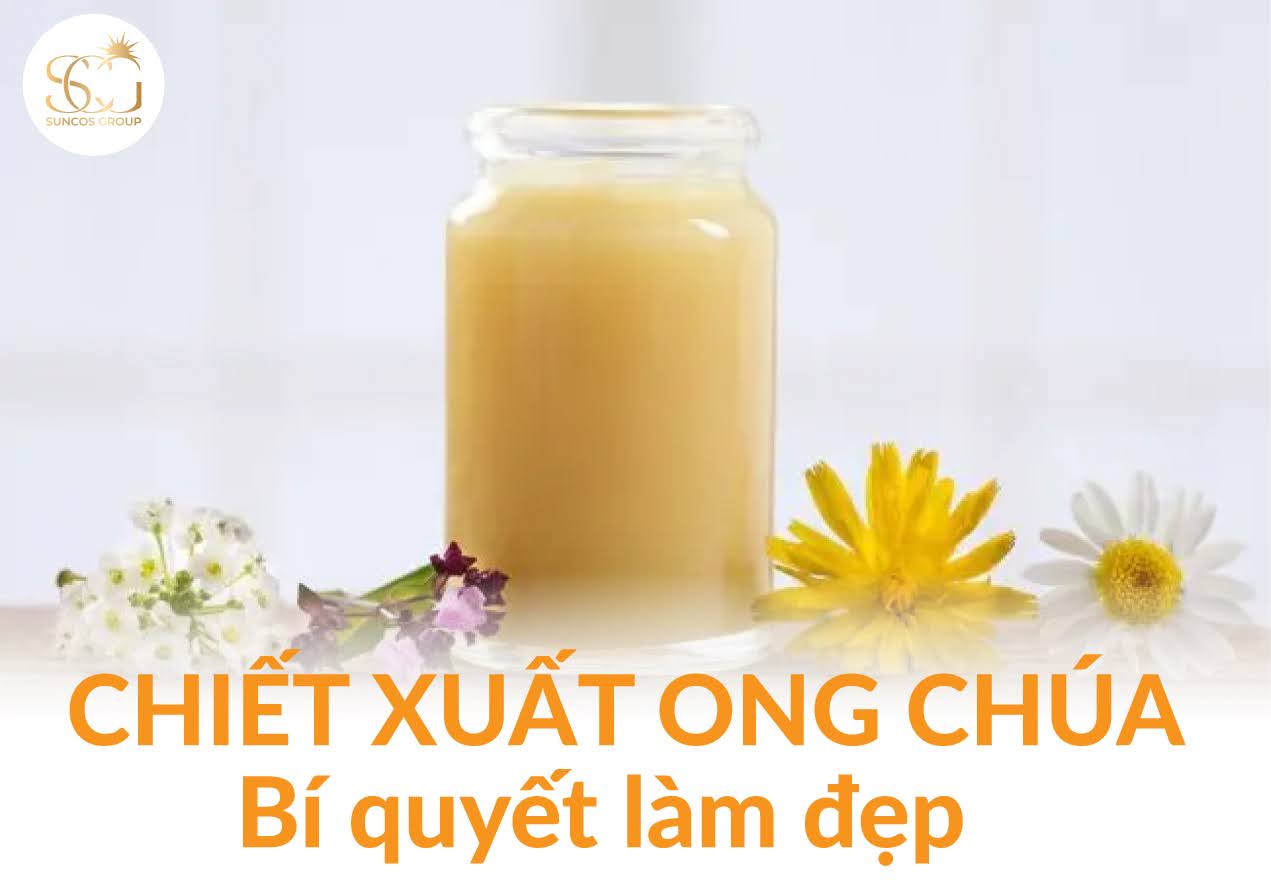 chiết suất sữa ong chúa