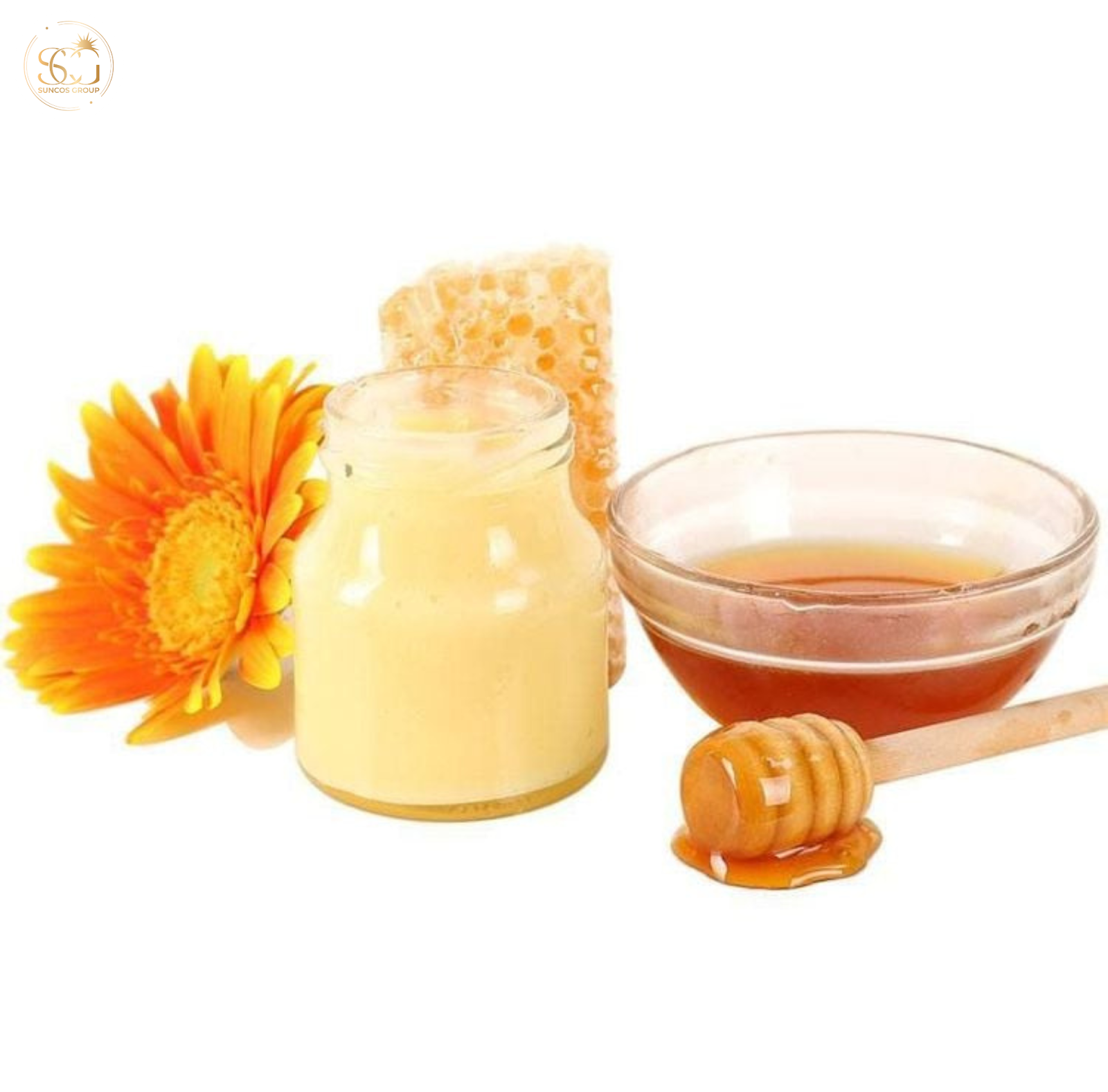 công dụng chiết xuất sữa ong chúa