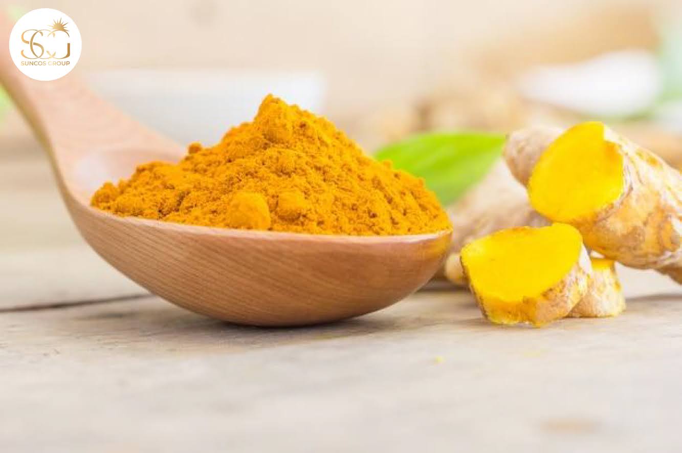 chiết xuất nghệ là gì