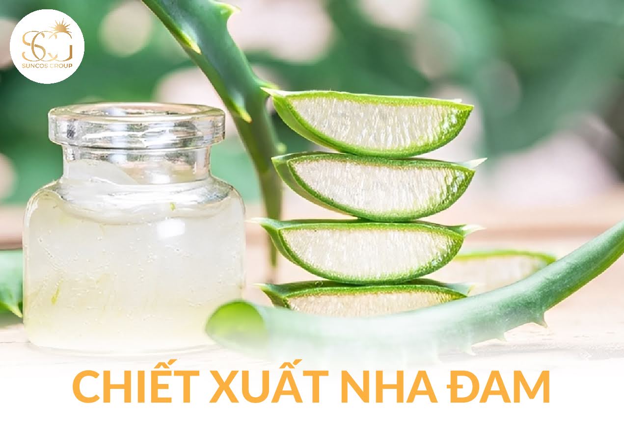 chiet xuat nha dam