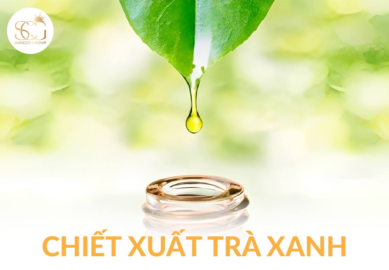 chiet xuat tra xanh