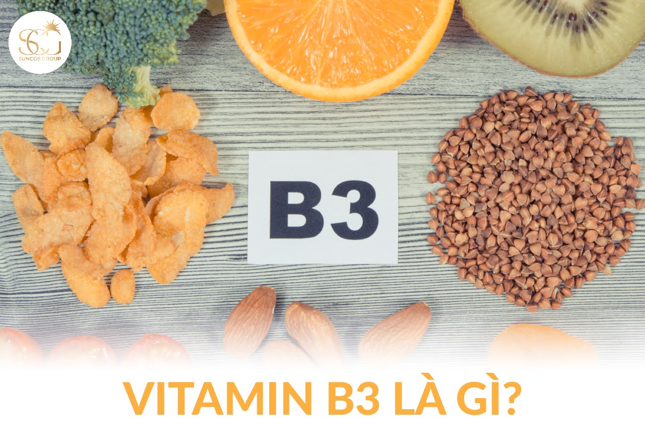vitamin b3 co tac dung gi