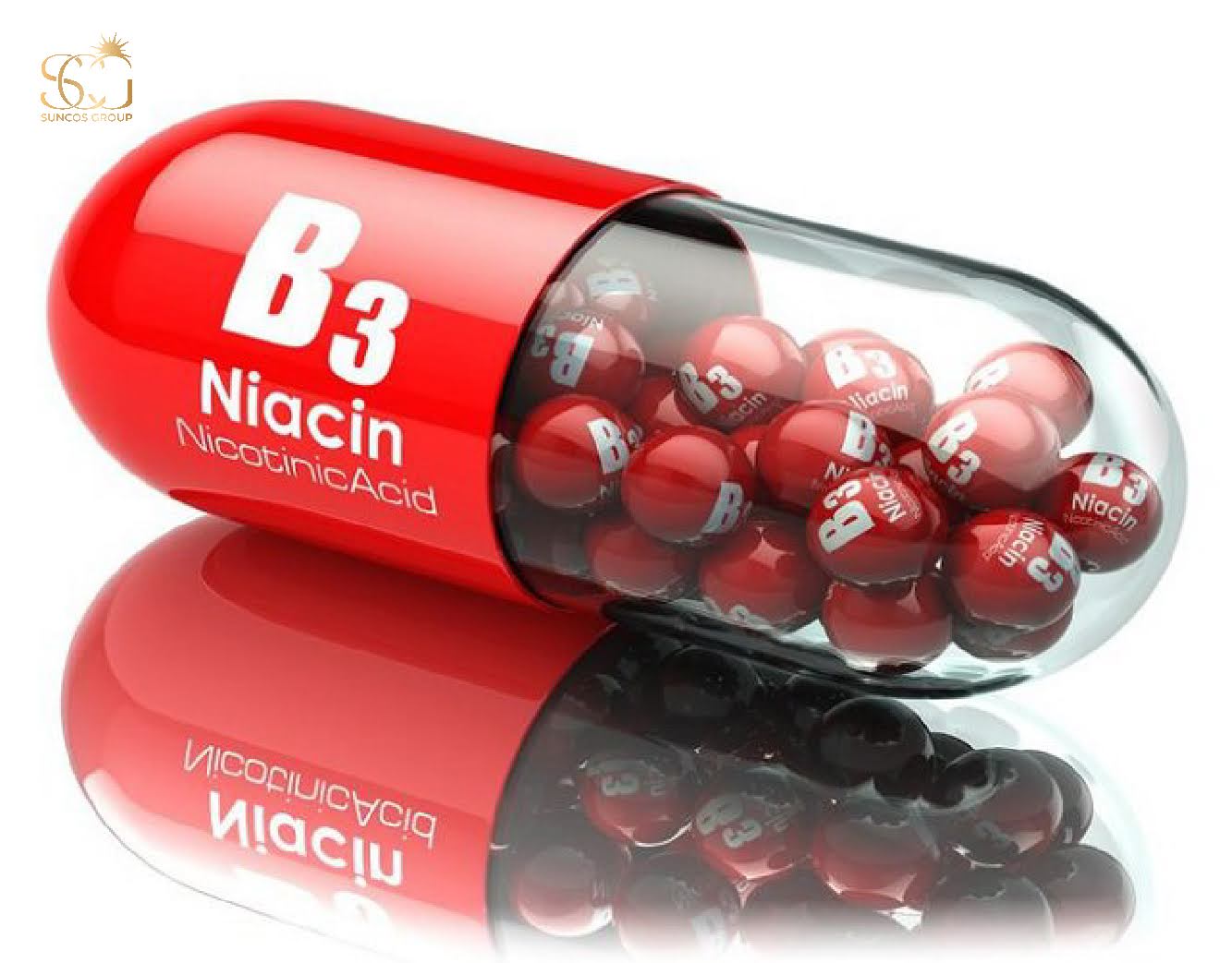 vitamin b3 la gi