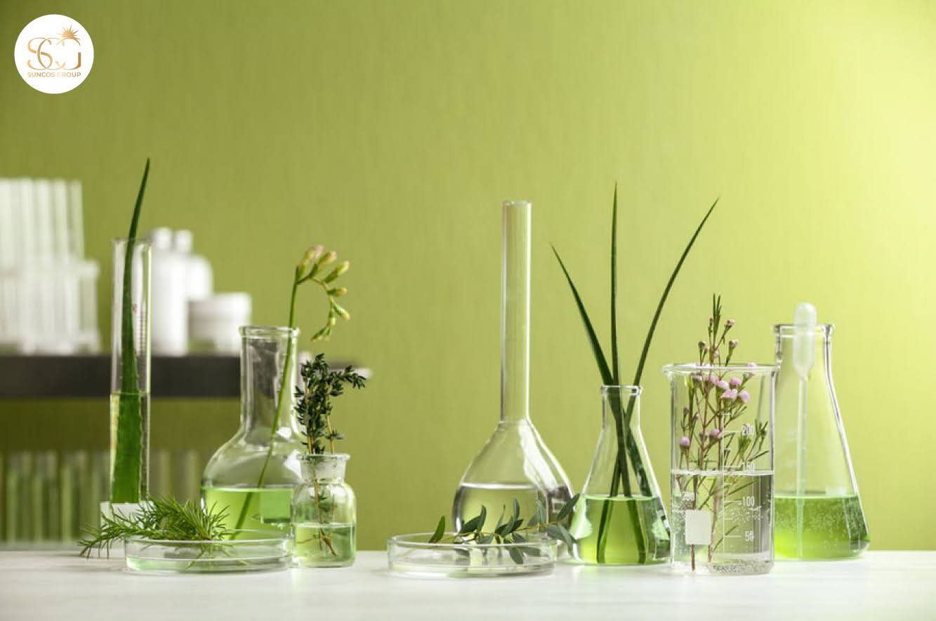 quy trình gia công mỹ phẩm thuần chay