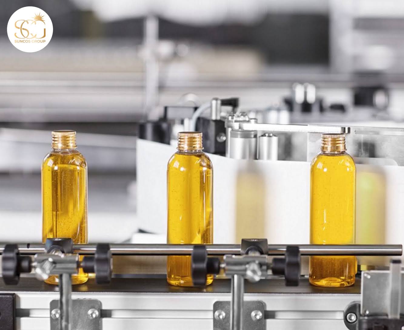 SunCos Group – Nền tảng vững chắc cho những thương hiệu khởi đầu