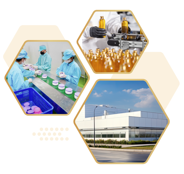 Sản xuất tại 3 nhà máy đạt chuẩn đảm bảo chất lượng từ gốc đến thành phẩm