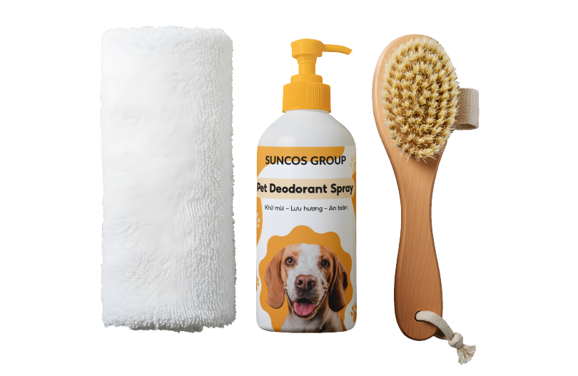 ĐĂNG KÝ NHẬN TƯ VẤN MIỄN PHÍ